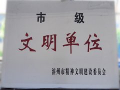 喜訊！公司榮獲“市級(jí)文明單位”稱號(hào)
